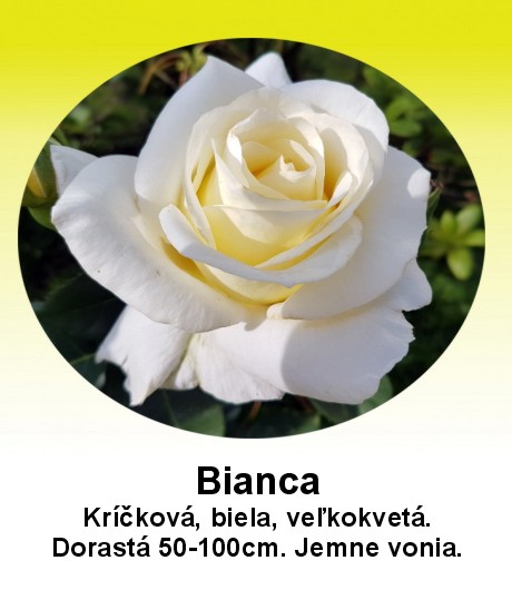 Kríčková Bianca 